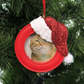 Cat Picture Frame Christmas Ornament
