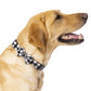 Black & White Plaid Pet Collar