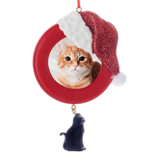 Cat Picture Frame Christmas Ornament
