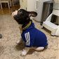 Royal Blue Adidog Dog Hoodie