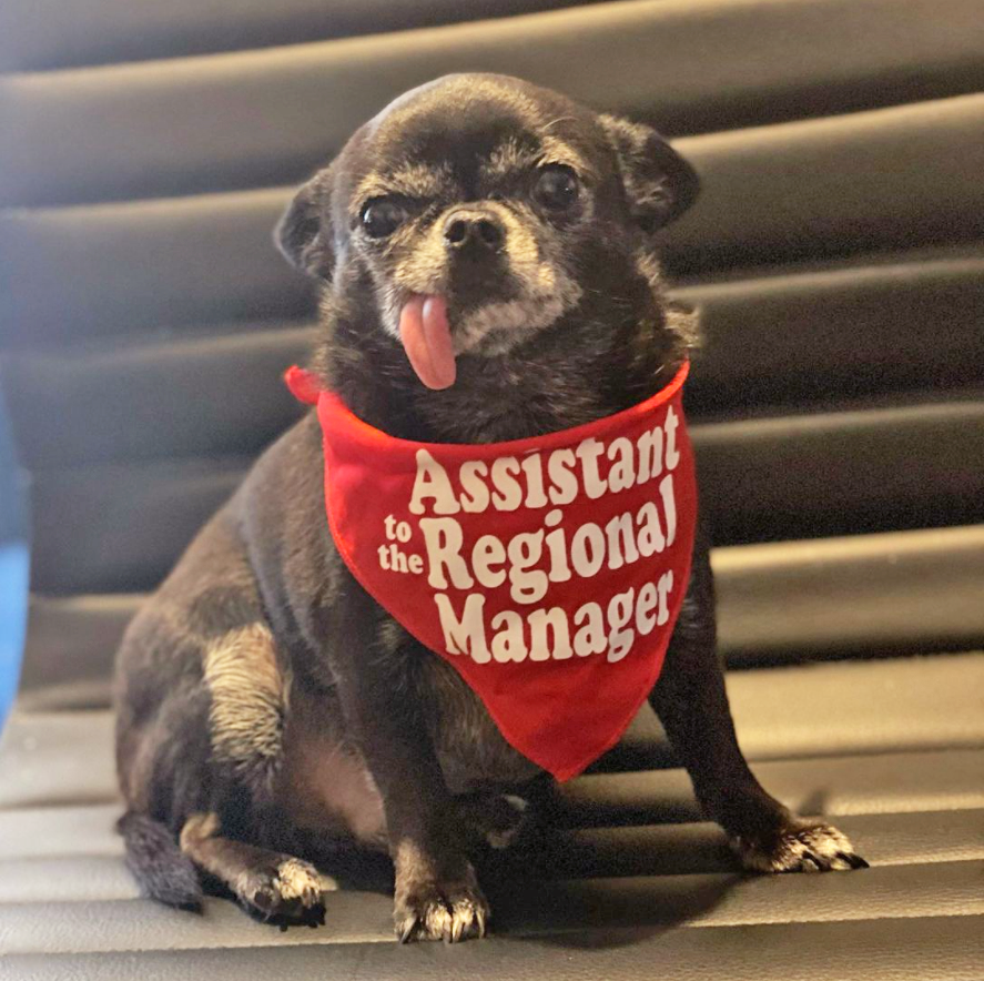 Assistant to the Regional Manager Bandana