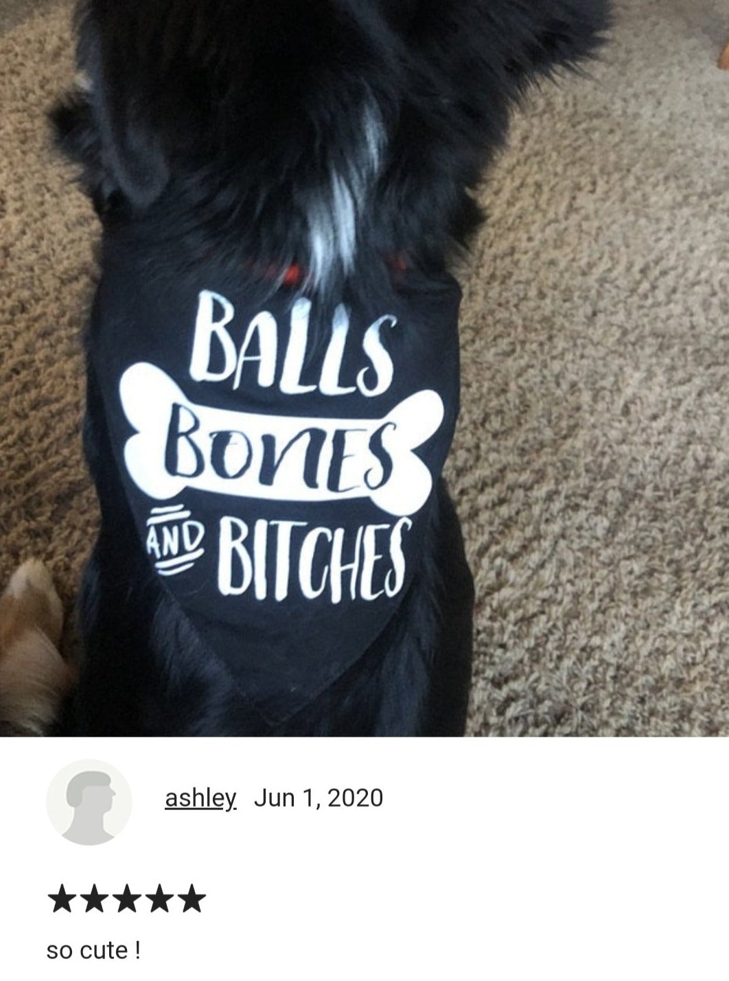 Balls, Bones, and Bitches Bandana