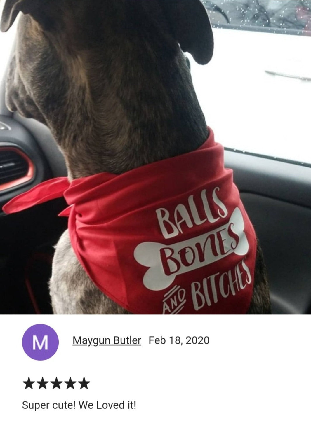 Balls, Bones, and Bitches Bandana