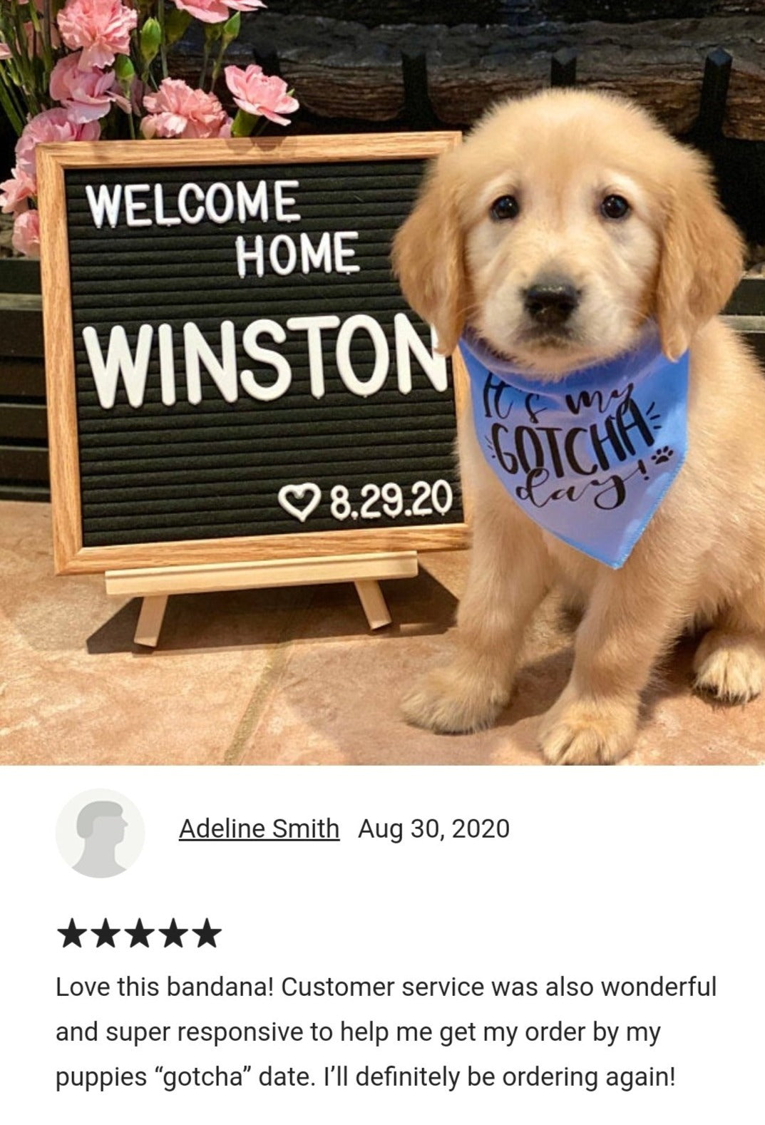 Welcome home clearance dog bandana