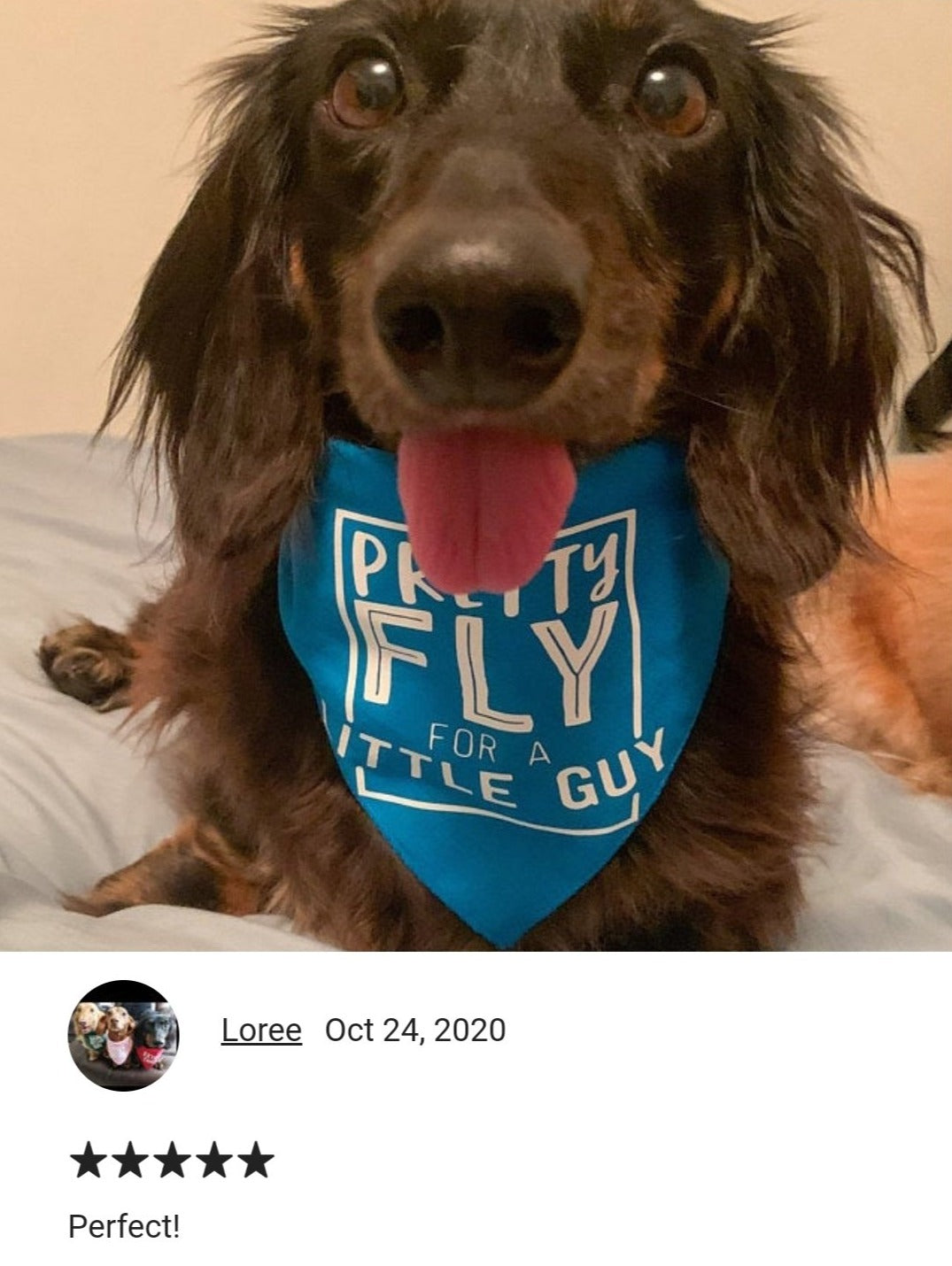 Pretty Fly for a Little Guy Bandana